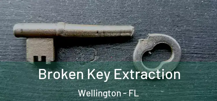 Broken Key Extraction Wellington - FL
