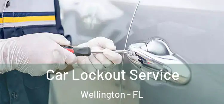 Car Lockout Service Wellington - FL