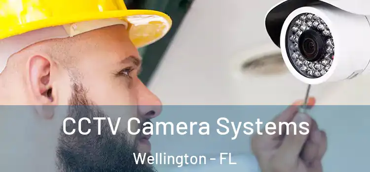 CCTV Camera Systems Wellington - FL
