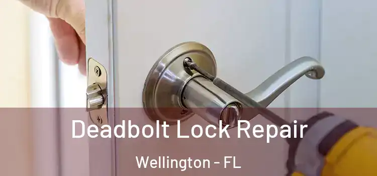 Deadbolt Lock Repair Wellington - FL