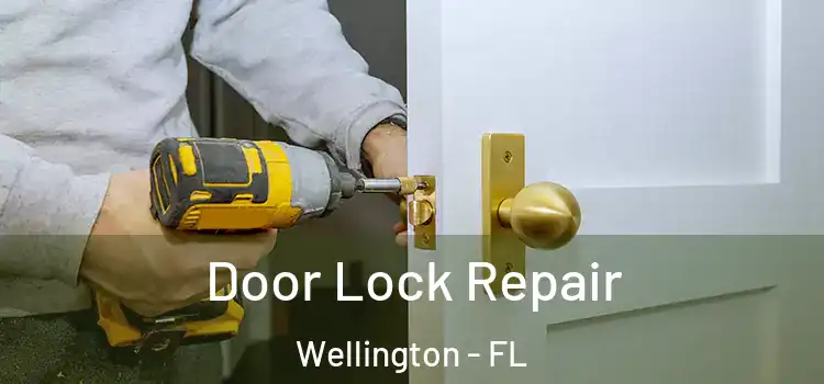 Door Lock Repair Wellington - FL