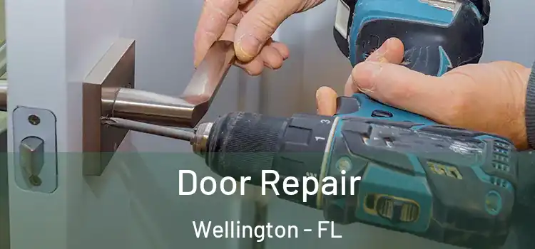 Door Repair Wellington - FL