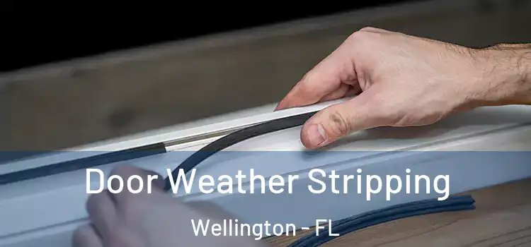 Door Weather Stripping Wellington - FL