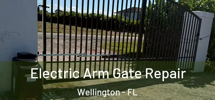 Electric Arm Gate Repair Wellington - FL