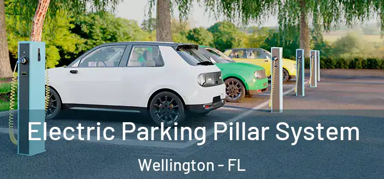 Electric Parking Pillar System Wellington - FL