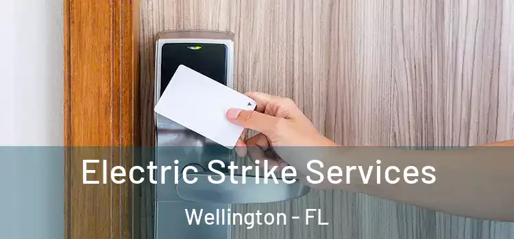 Electric Strike Services Wellington - FL