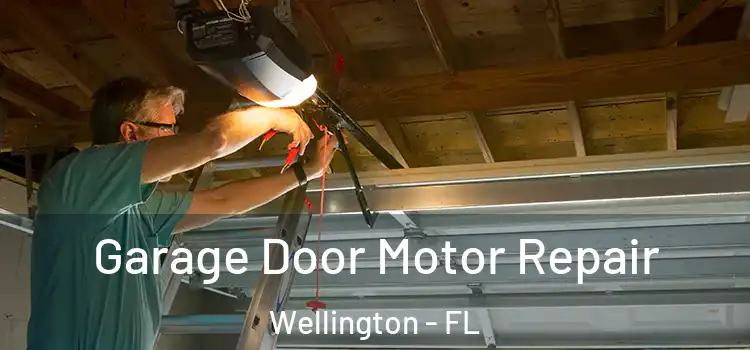  Garage Door Motor Repair Wellington - FL