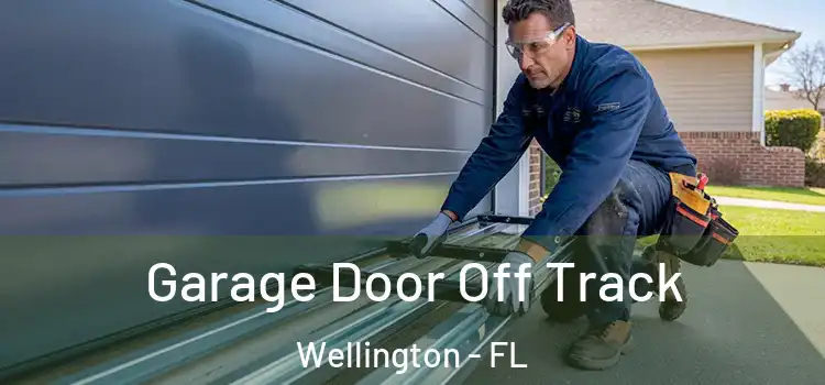  Garage Door Off Track Wellington - FL