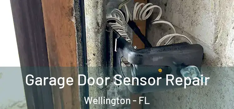 Garage Door Sensor Repair Wellington - FL