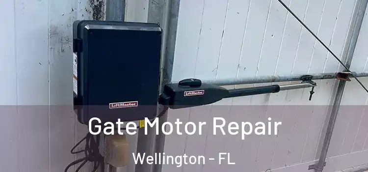 Gate Motor Repair Wellington - FL