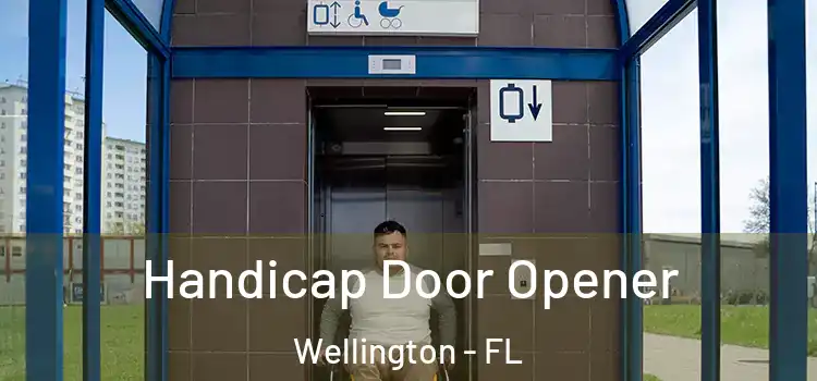 Handicap Door Opener Wellington - FL