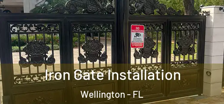 Iron Gate Installation Wellington - FL