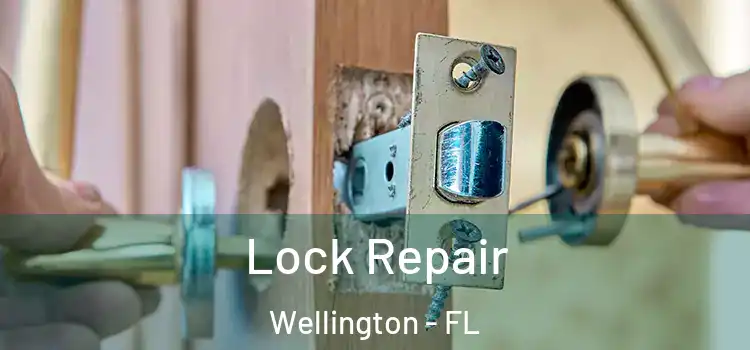 Lock Repair Wellington - FL