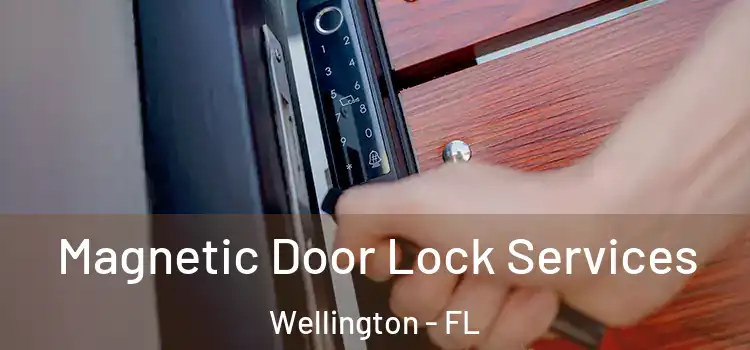 Magnetic Door Lock Services Wellington - FL