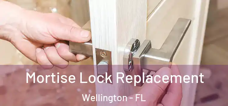 Mortise Lock Replacement Wellington - FL