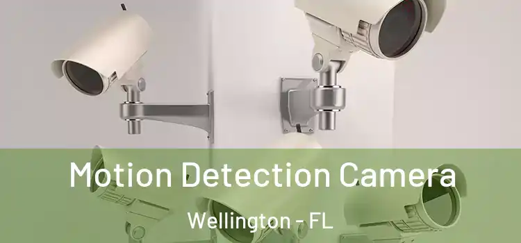  Motion Detection Camera Wellington - FL