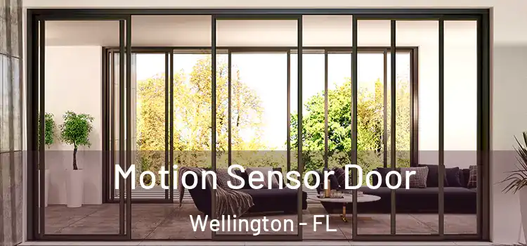 Motion Sensor Door Wellington - FL